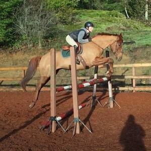 Meet your Posher, Caitlin